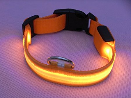LED Flashing Lights Dog Collar Nylon (Orange, Medium)