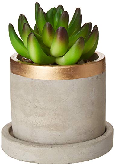 Linea Artificial Succulent Plants with Pots - Fake Succulents with 4 inch Gold Pot, Concrete/Cement Planter Pot for Kitchen Counter, Office Decor, Tiny Desk Plant Succulents
