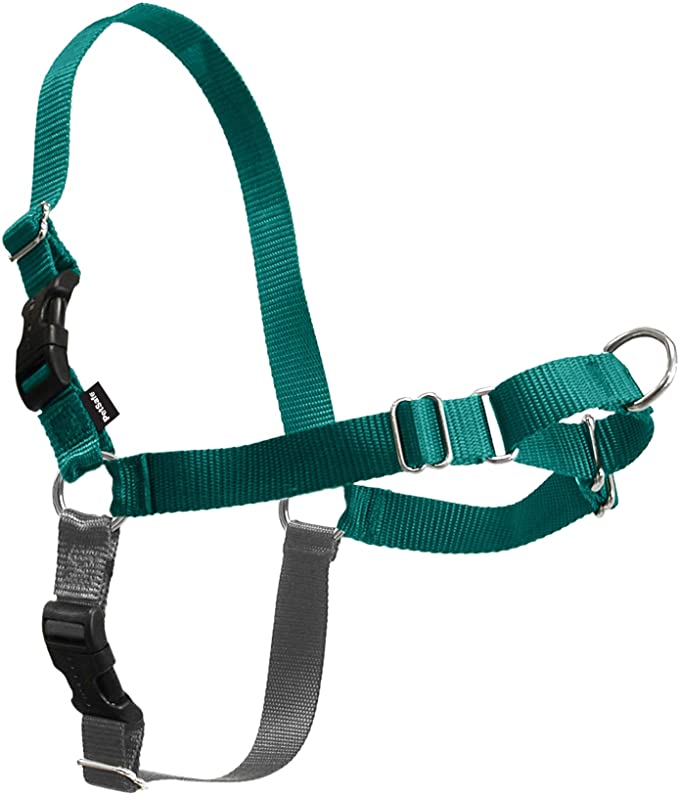 PetSafe Easy Walk Dog Harness, Teal, Small