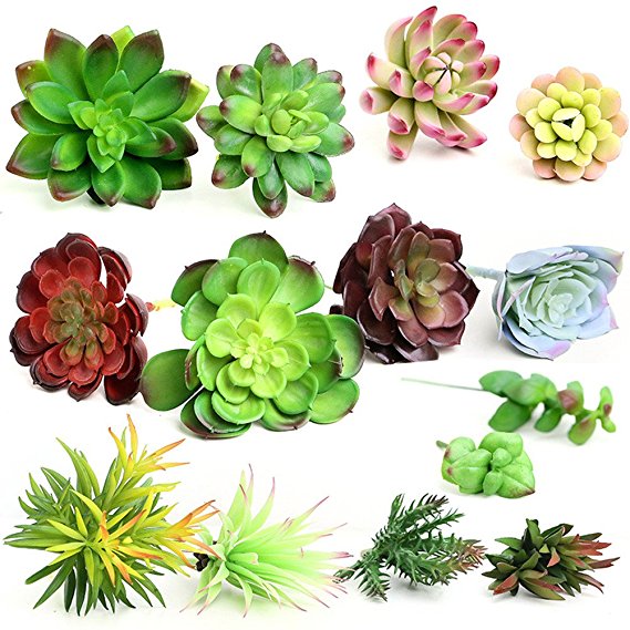 20Pcs- Plastic Different Mini Succulents, Artificial Cactus Plant