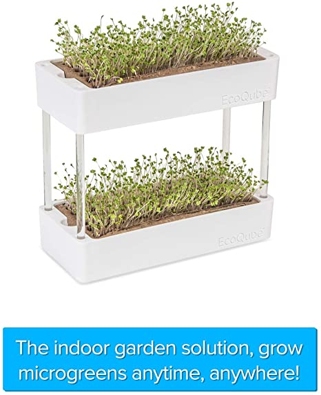 EcoQube Sprout - Easy and Affordable Herb Garden Starter Kit Indoor - Grow Organic Microgreens and Plants - an Indoor Herb Garden That Includes Seeds and Growing Trays