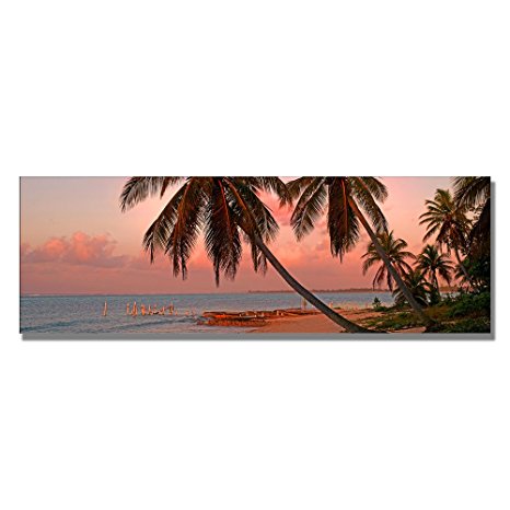 Trademark Fine Art Cayman Palms II by Preston Canvas Wall Art, 8x24-Inch