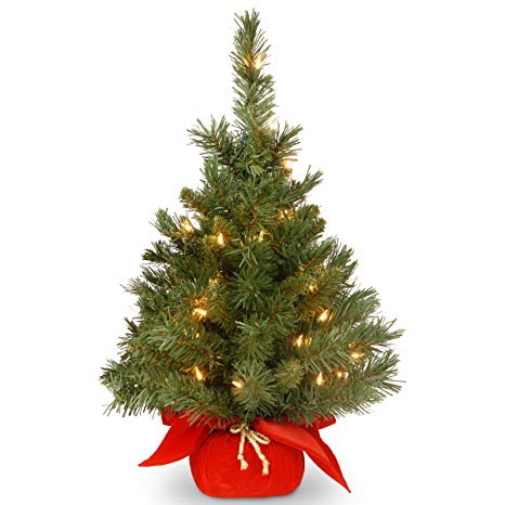 National Tree 2 Foot Majestic Fir Tree with 35 Clear Lights in Red Cloth Bag (MJ3-24RDLO-1)