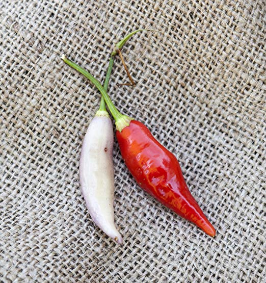 Aji Omnicolor Peruvian Heirloom Pepper Premium Seed Packet   More