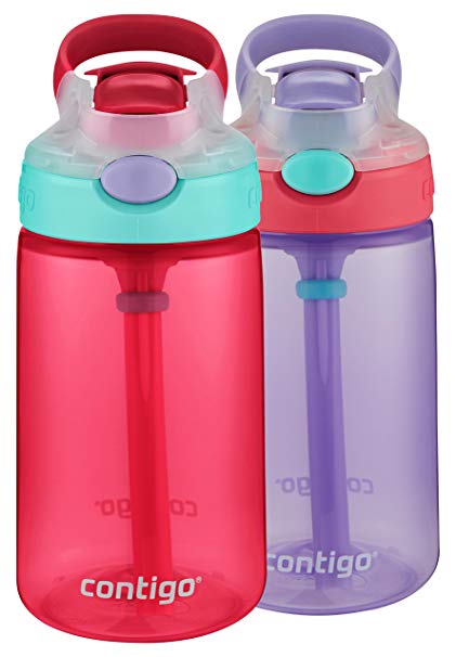 Contigo Kids Gizmo Flip Water Bottles, 14oz, Cherry Blossom/Wisteria, 2-Pack