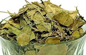 Gurmar Leaves - Gudmar Leaves - Gymnema Sylvestre - Periploca Of The Woods - गुरमार पत्तियां (100 GM)