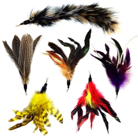Pet Fit For Life 6 Piece Replacement Feathers and Soft Furry For Interactive Cat and Kitten Toy Wands