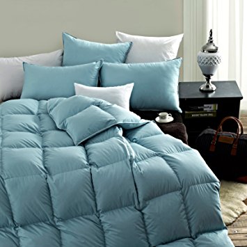 LUXURIOUS Queen 100% Goose Down Comforter Duvet -Solid Light Weight Blue Cotton Shell (Queen, Blue)