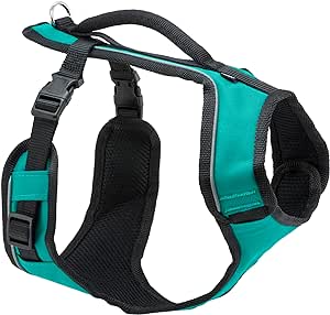 PetSafe EasySport Harness – Padded Straps – Fully Adjustable — Elastic Neckline — Best for Athletic Dogs – Top Handle for Quick Control - Medium - Teal