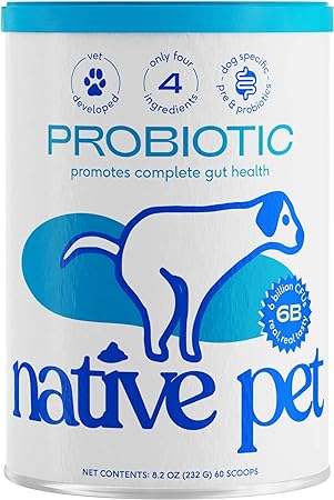 Native Pet Probiotic for Dogs - Vet Created Probiotic Powder for Dogs for Digestive Issues - Dog Probiotic Powder Blend   Prebiotic   Bone Broth - 232 Gram 6 Billion CFU - Probiotics Dogs Will Love!