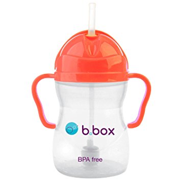 B Box Watermelon Sippy Cup Limited Edition