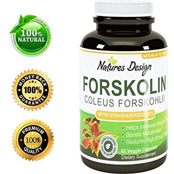 Natural Forskolin For Weight Loss - Burn Belly Fat - Support Energy Levels - Boost Testosterone - Pure Coleus Forskohlii Extract - Weight Loss Supplements For Women And Men By Natures Design