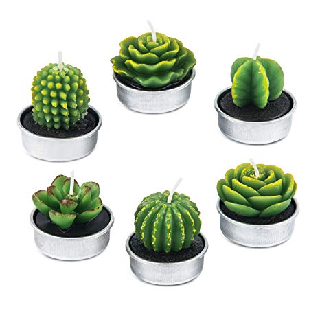 amasky Cactus Tealight Candles, Handmade Delicate Succulent Cactus Candles Birthday Party Wedding Spa Home Decoration, 6 Pcs in Pack. (6)