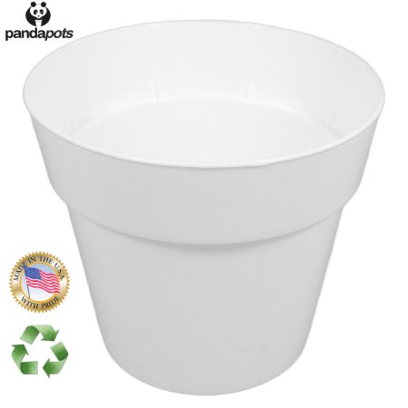 50 Plant Pots - 3 Inch Diameter - Perfect for Succulents - 100% Recycled Plastic - Made in USA - Strong, Reusable - By Panda Pots™