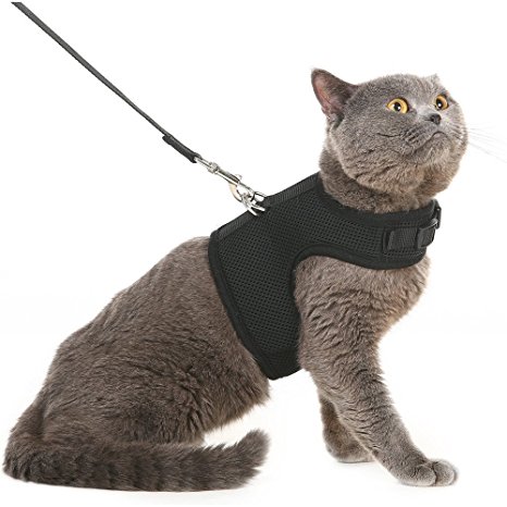 Escape Proof Cat Harness and Leash - Adjustable Soft Mesh Holster Style - Best for Kitten Walking