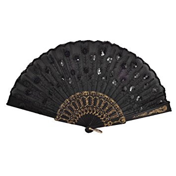 Plastic Frame Embroidery Floral Detail Folding Hand Fan Black