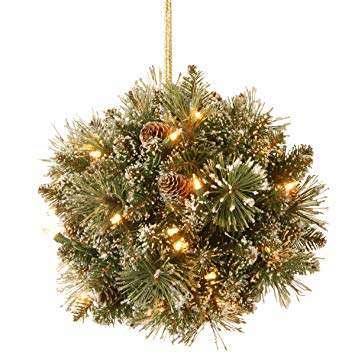 National Tree 12 Inch Glittery Bristle Pine Kissing Ball with Pine Cones and 35 Battery Operated Warm White LED Lights (GB1-300-12K-B1)