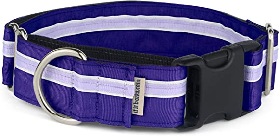 If It Barks - 1.5" Martingale Collar for Dogs - Quick Snap Release Buckle - Adjustable - Nylon - Strong and Comfy - Ideal for Training - Made in USA - Large, Grape Crush