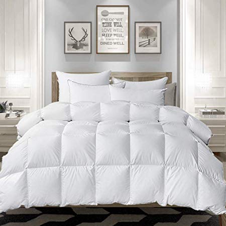 Alanzimo Premium 100% Down Comforter,Queen Duvet Insert,All Season,100% Egyptain Cotton Cover,White Solid Soft Warm Comfortable
