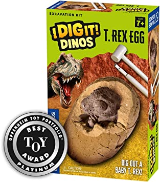 Thames & Kosmos I Dig It Dinos-T. Rex Egg Excavation Kit Science Experiment