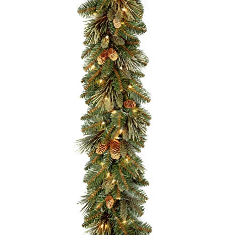 National Tree 9 Foot by 10 Inch Carolina Pine Garland with 27 Flocked Cones and 100 Clear Lights (CAP3-306-9A-1)