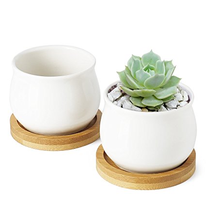 Greenaholics Succulent Plant Pots - 2.76 Inch Ceramic Round Container for Mini Succulents, Cactus, Small Flower Pots with Bamboo Trays, Set of 2, White