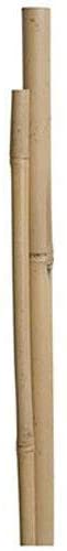 Bond SMG12031 Miracle-Gro 4 ft x 5/16 in Packaged Bamboo Stakes, 12 pack, Natural