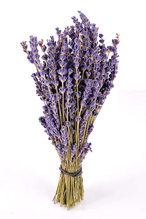 Findlavender - Royal Velvet Lavender Bundles - 14" - 16" Long - Can Be Used for Any Ocassion - Perfect for your wedding - 1 Bundle