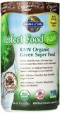 Garden of Life Perfect Food RAW Organic Chocolate Powder 285g Powder