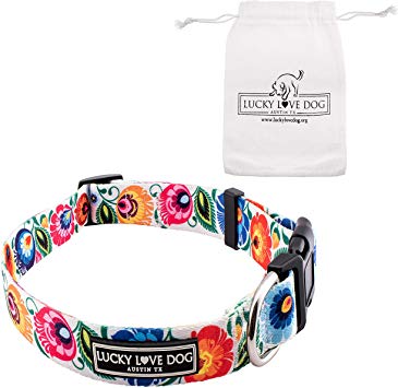 Lucky Love Dog Cute Female Dog Collar Leash Set | Vivid Colorful Pretty and Unique Designs | Small Medium Large Girl Dogs | Floral Chevron | Soft Your Purchase Helps Rescue Dogs