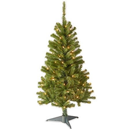 National Tree Canadian Fir Grande Wrapped Tree with 100 Clear Lights, 4-Feet