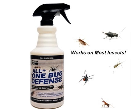 All-N-One Bug Defense 32oz Spray Bottle from Exterminators Choice-RoachesAntsSilver Fish CricketsSpidersBeetlesFleasTicks ampmany more insectsAll Natural Killer