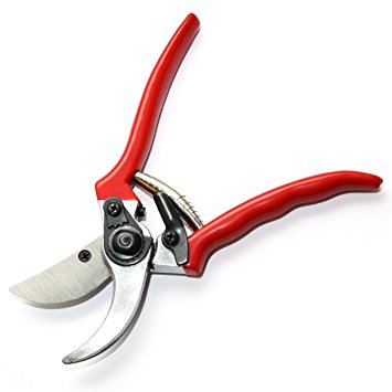 Pruner - Premium Quality - Hand Gardening, Tree Trimmer, Shrub & Hedge Clippers, Garden Shears - Bypass Pruning with Safety Lock, Sharp Steel Blade Secateurs and Ergonomic Handles for Precise Cutting