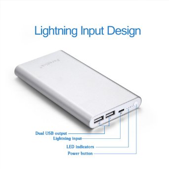 [New Release: Apple Lightning Input Port Design] Puredick® 12000mAh Portable Charger External Battery Power Bank for iPhone 6S, 6S Plus,6 Plus,6,5S,5C,5,iPad Air / Mini，iPod -Silver