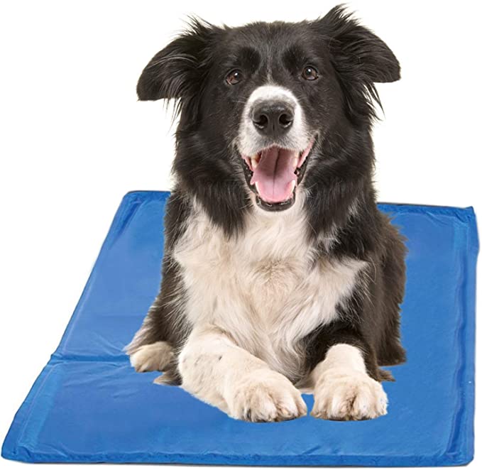 Chillz Cooling Mat for Dogs, Large - Pressure Activated Gel Dog Cooling Mat - No Need to Freeze Or Refrigerate This Cool Pet Pad - Keep Your Pet Cool, Use Indoors, Outdoors or in The Car