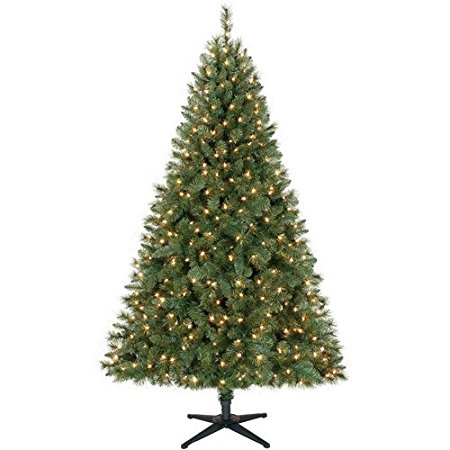 6.5ft Windham Pine Tree, Clear Lightsoliday Time 6.5ft Windham Pine Tree, Clear Lights
