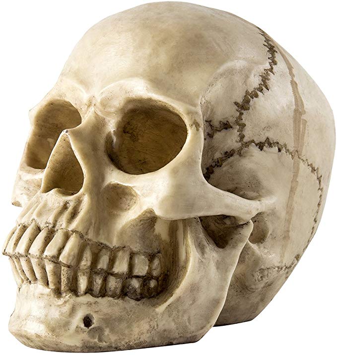 Halloween Decoration Human Skull Life Size Replica Realistic Human Skeleton Gothic Halloween Gifts Decor