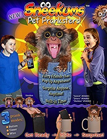 SNEEKUMS Pet Pranksters! Get Ready, Hide, and Surprise! (Set of 12) Makes a Great Stocking Stuffer!