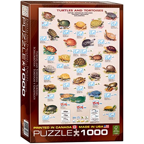 EuroGraphics Turtles 1000 Piece Puzzle
