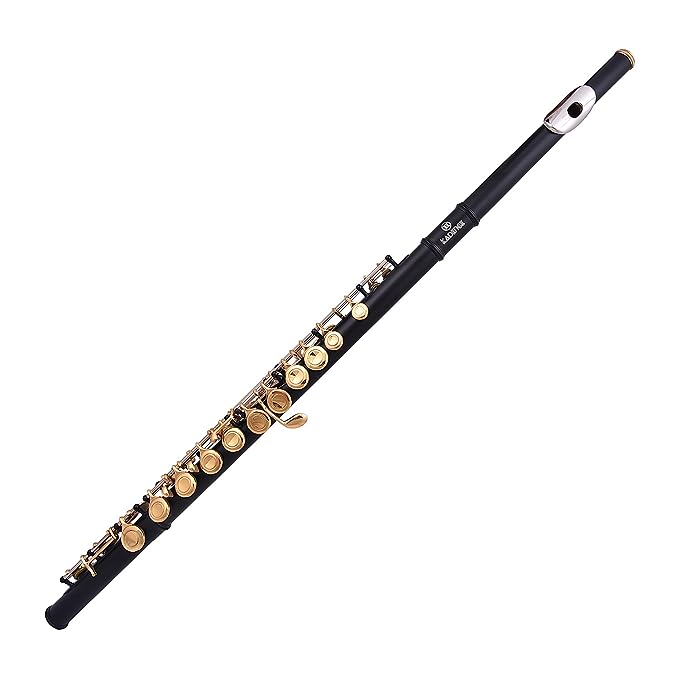 Kadence Closed Open Hole Metal Flutes Key of C 16 Key for Beginner, Kids, Student Black Gold Nickel Flute with Leather Case