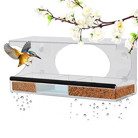 Window Bird Feeder - Homeme Large Bird Feeder With Drain Holes & Removable Tray