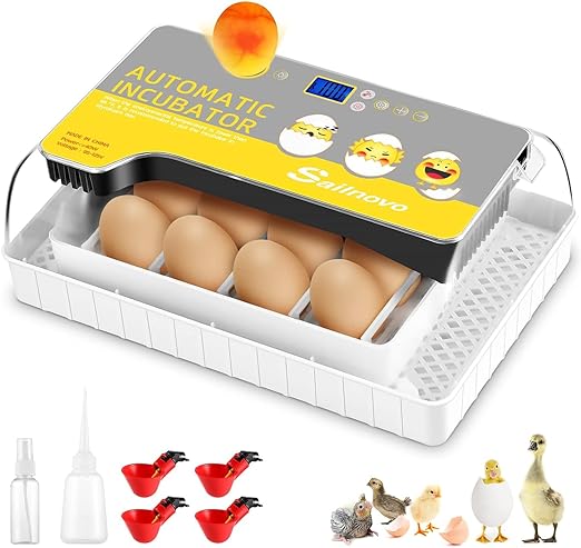 Sailnovo Incubators for Hatching Eggs, 12 Egg Incubator with Auto Temperature and Clear Lid, LED Display Chicken Incubators for Hatching Eggs, Small Egg Incubators Gift for Kids