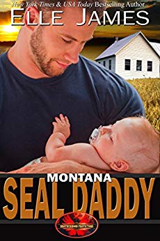 Montana SEAL Daddy (Brotherhood Protectors Book 7)