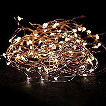 EShing 33ft 100 LED Copper Wire Fairy String Lights with DC 12V Power Adapter for Wall, Garden, Lawn, Patio, Wedding, Party, Indoor, Outdoor Decorations (Warm White)