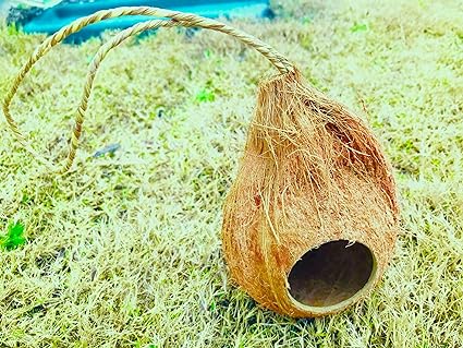 Hexagrowth Hanging Coconut Reptile House with Fiber Loop, Hideout for Crested Gecko & Fish, Egg Laying Shelter, Perfect for Small Finches, Humming Birds Opening 2” Diameter, 1 Pack (1-Hole)