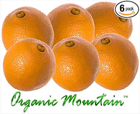 Navel Oranges from Organic Mountain