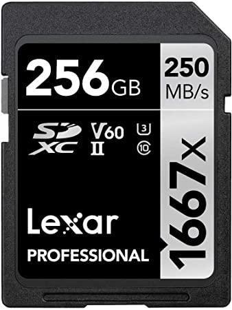 Lexar Professional 1667x 256GB SDXC UHS-II Card, Up To 250MB/s Read, for Professional Photographer, Videographer, Enthusiast (LSD256CBNA1667)