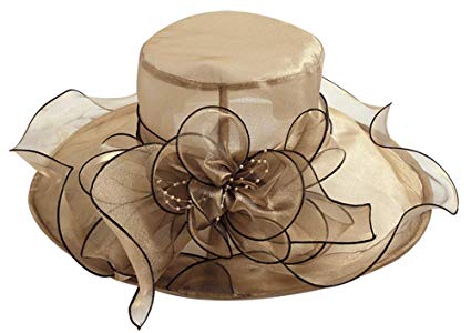 Womens Ladies Organza Church Wide Brim Tea Party Wedding Hat Fancy Kentucky Derby Fascinator Cap