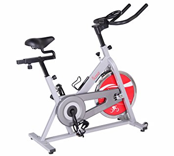 Sunny Health & Fitness SF-B1001S Indoor Cycling Bike, Silver