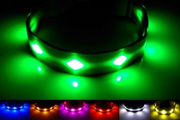 GoDoggie-GLOW - USB Rechargeable LED Dog Safety Collar - Improved Dog Visibility and Safety - 7 Colors and 5 Sizes - Super-Bright LEDs Glow and Flash - Connects to Devices to Recharge - No Batteries Required - Great Fun and Improved Dog Visibility and Safety